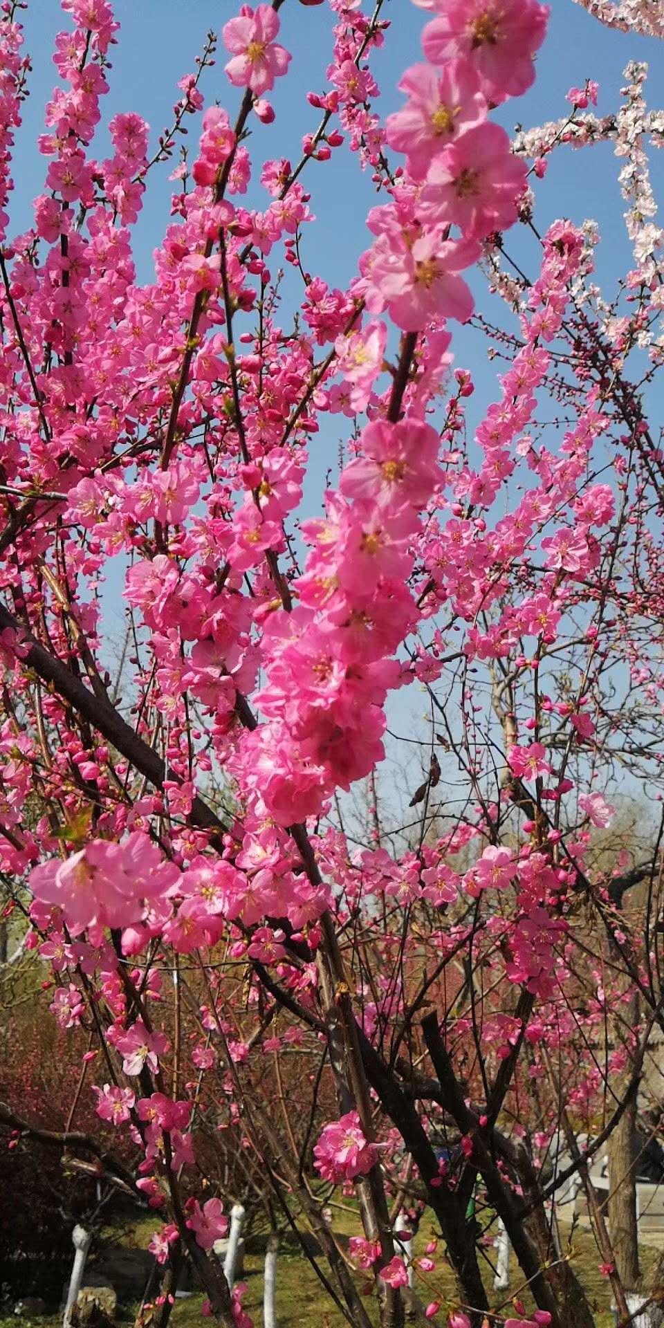 ΢��ͼƬ_20190330203920.jpg