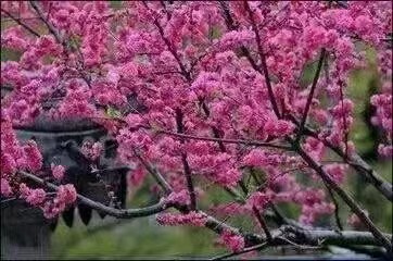 ΢��ͼƬ_20220411081623.jpg